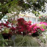 Botanischer Garten Berlin