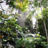 Botanischer Garten Berlin