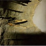 Loch Ness Ausstellung