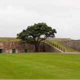 Fort George