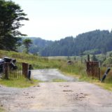 Moppeds in den Highlands