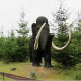 Mammut