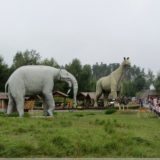 Deinotherium & Paraceratherium