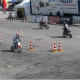 Pitbikes und Profikids