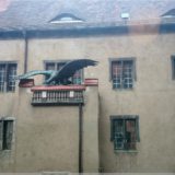 Gefieder im großen Hof
