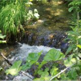 Plitvicer Nationalpark