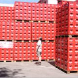 Jony steht ehrfürchtig vor den Kästen