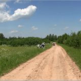 aufstehen, Dreck abklopfen …