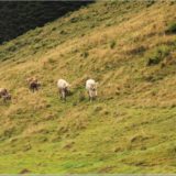 Glaubenberg