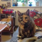 Prudence und Candy