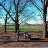 Ankunft bei Zorndorf