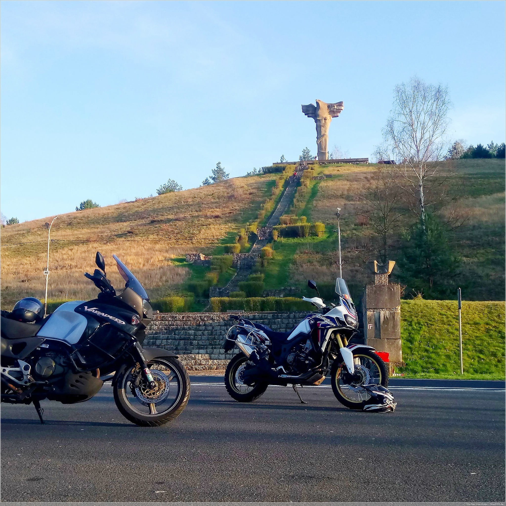 verzaubert: krummer Wald – Krzywy Las