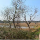 Festung Küstrin – Blick zur Oderbrücke