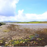 am Ballycarbery Castle