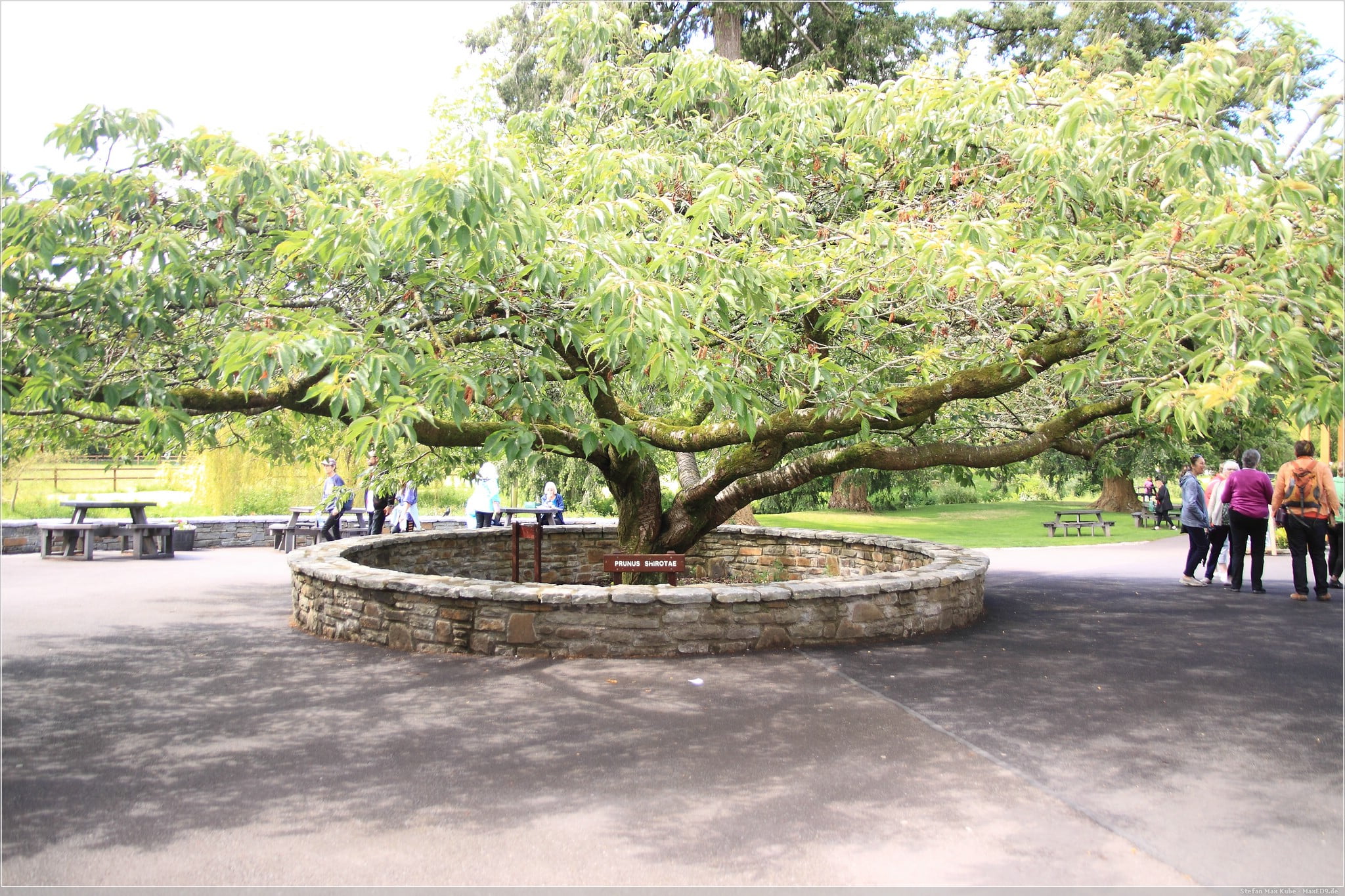 wir küssen nichts im Blarney Castle