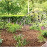 Giftgarten, Blarney Castle