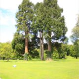 Blarney Castle Gardens