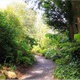 Blarney Castle Gardens