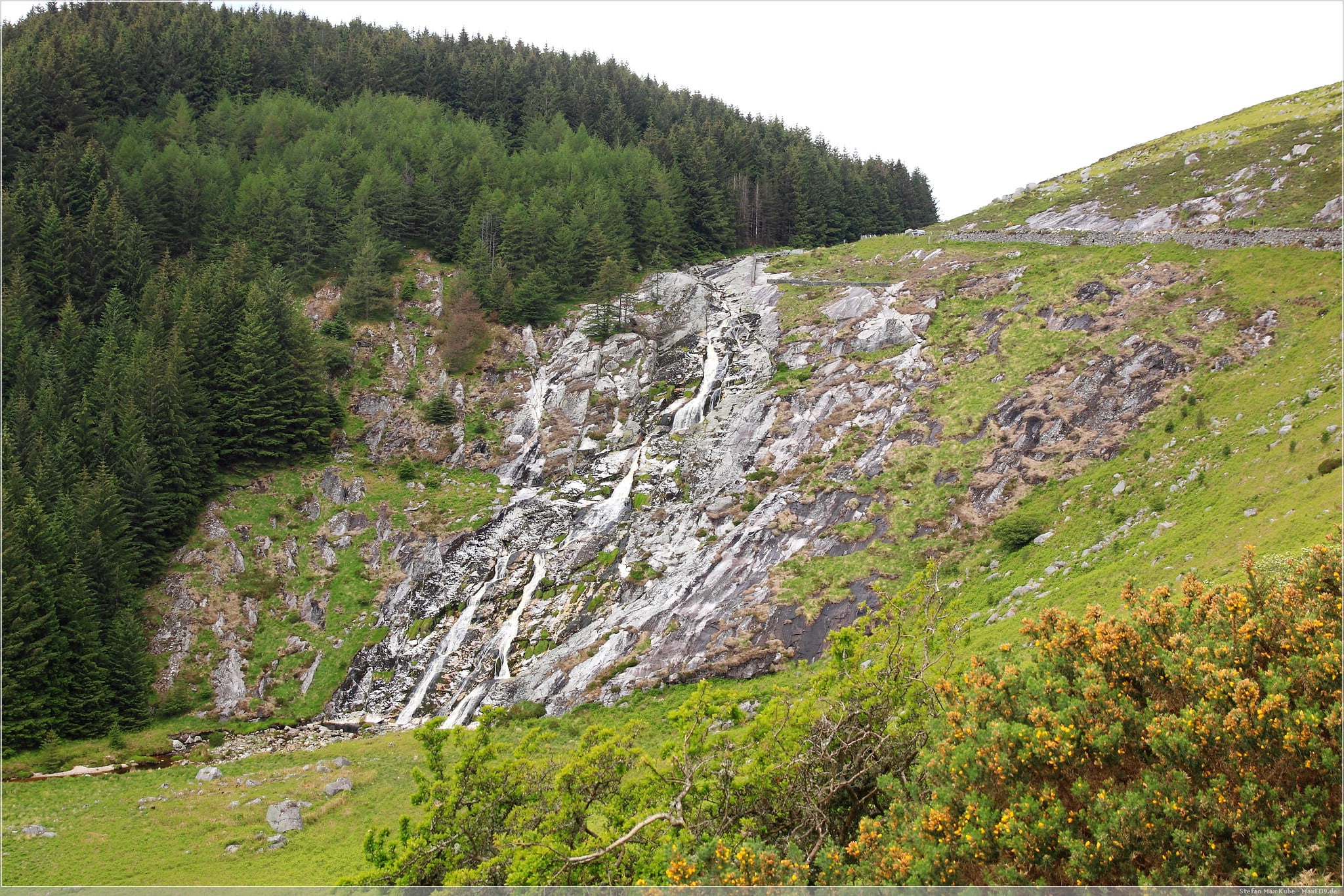 durch die Wicklow Mountains