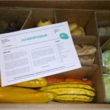 Bio- Gemüse von etepetete