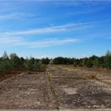 ehemaliger Hubschrauberlandeplatz