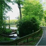 Landstraße (Forthaus Warnitz)