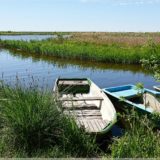 Boote am Ludwigshofer See
