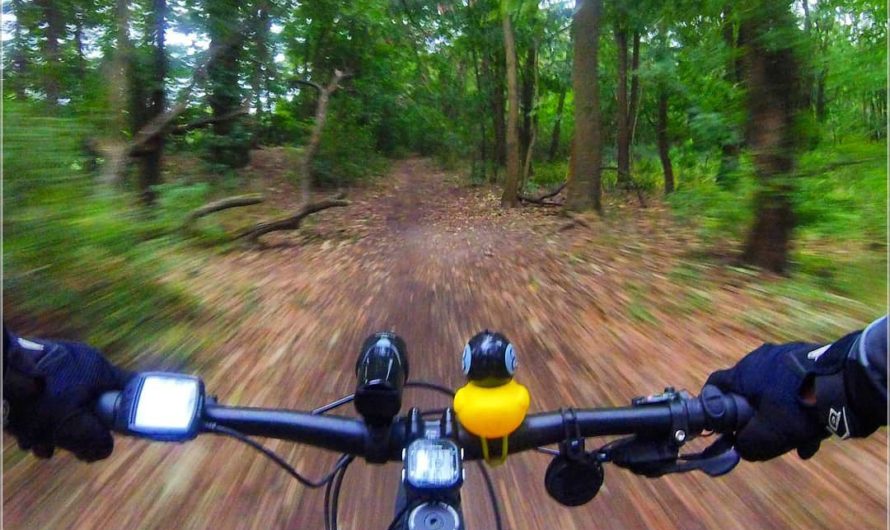 alternativ: Mit dem Fahrrad ins Büro