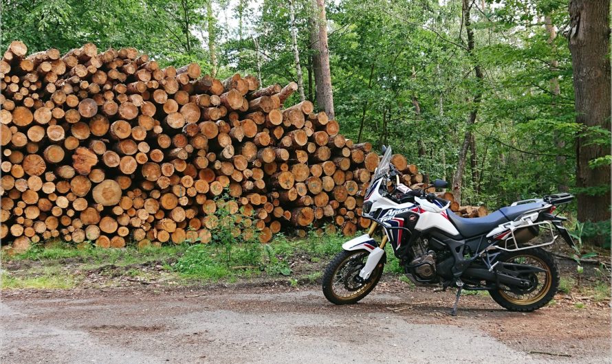 bestaunt: Presseler Heidewald- und Moorgebiet