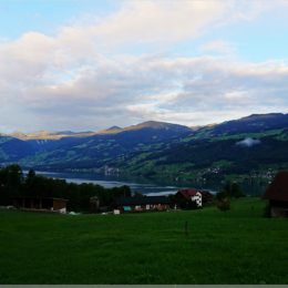 am Morgen