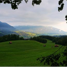 die ersten Sonnenstrahlen
