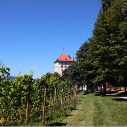 Schloss Heidegg