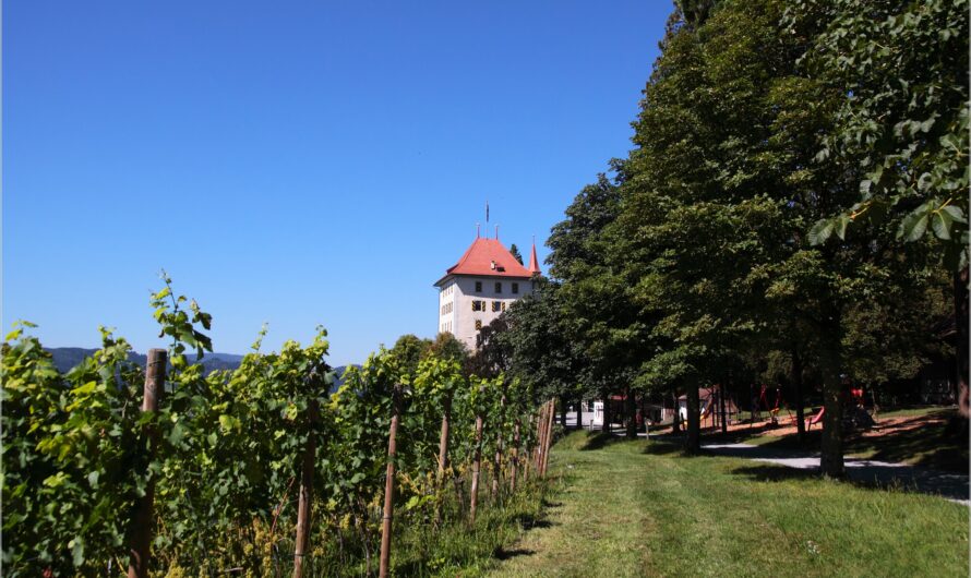 von Schlössern und Drachen