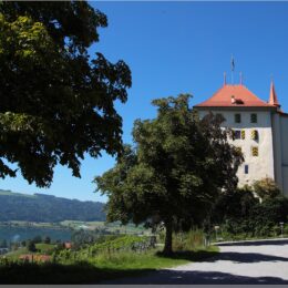 Schloss Heidegg