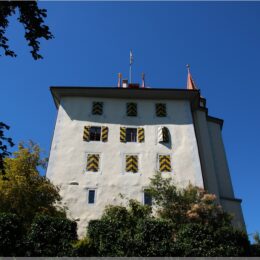 Schloss Heidegg