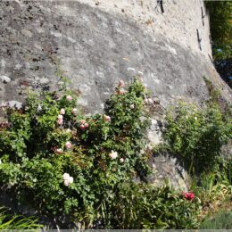 Schloss Heidegg