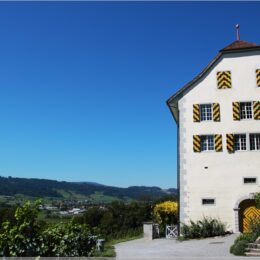 Schloss Heidegg
