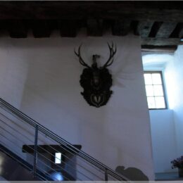 Schloss Heidegg