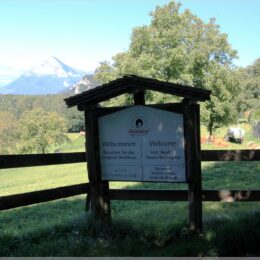 Willkommen im Heididorf