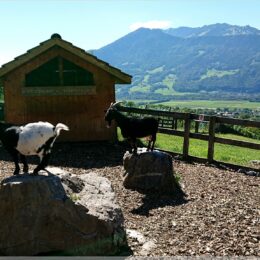 Heididorf