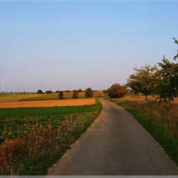 Hohenloher Ebene