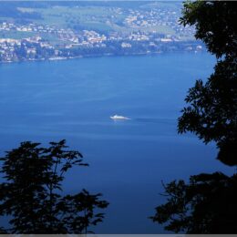 Schiff