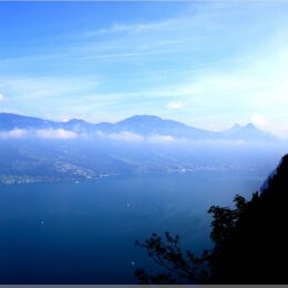 Blick nach Weggis