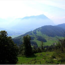 Blick zum Buochserhorn