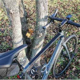 Cube Attian SL (2021)