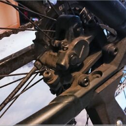 grober Schmutz entfernt