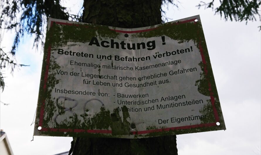 angenäht: von Log-Knöpfen und klammen Fingern