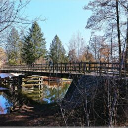 Brücke am alten Spreearm