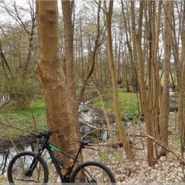 Neuenhagener Mühlenfließ, Altlandsberg