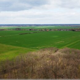 Blick nach Altlandsberg